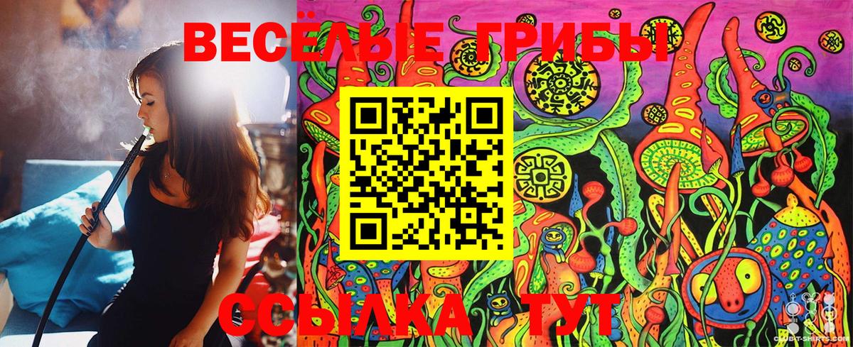 Сегежа  Галлюциногенные грибы Magic Shrooms  Псилоцибиновые грибы Magic Shrooms  Вход с VPN 